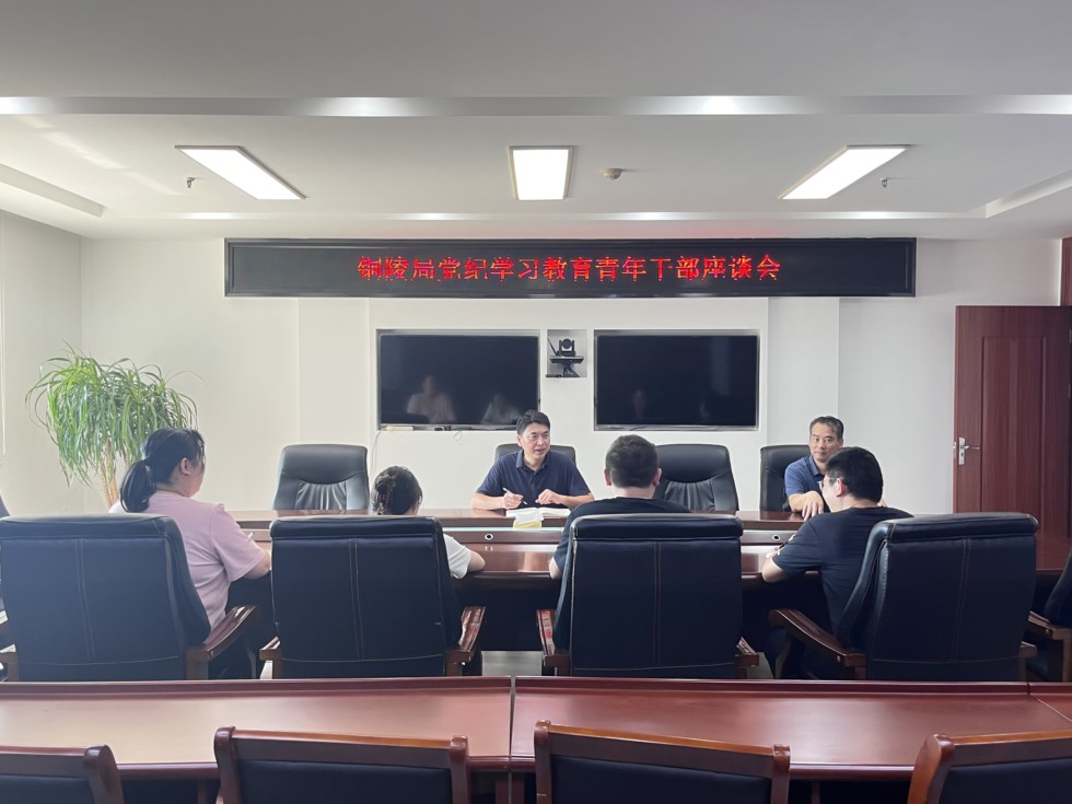 5.銅陵市郵政管理局召開(kāi)黨紀(jì)學(xué)習(xí)青年干部座談會(huì).png